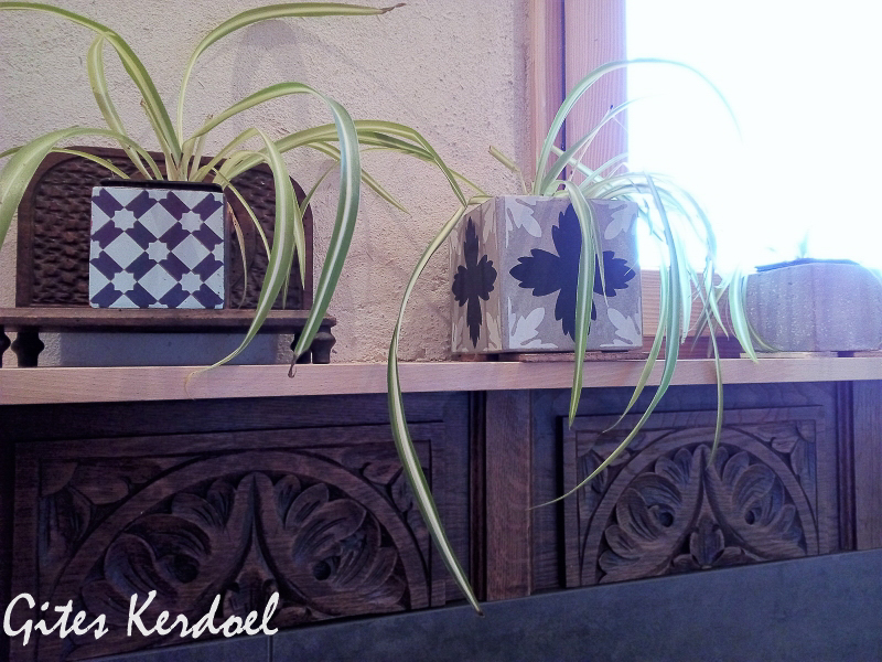 Décor de la cuisine