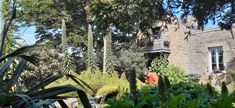 jardin et dragon grange aux lièvres